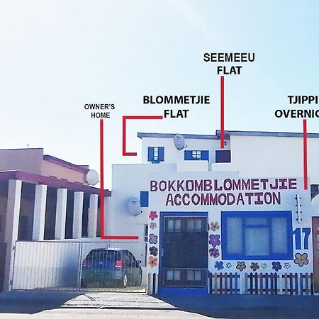 Bokkomblommetjie Lambertʼs Bay Kültér fotó